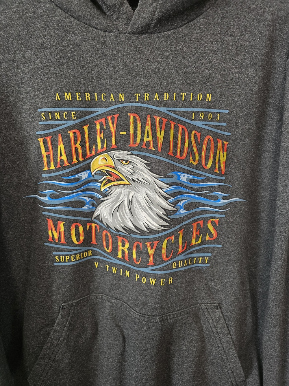 Harley-Davidson Men's Gray Eagle Graphic Hoodie - Gray